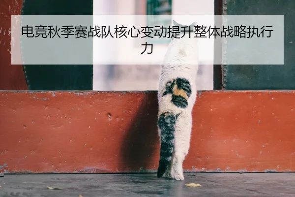 电竞秋季赛战队核心变动提升整体战略执行力 | 6TSports